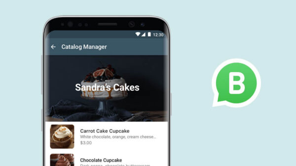 WhatsApp Business : 5 façons créatives de l’exploiter dans votre stratégie marketing